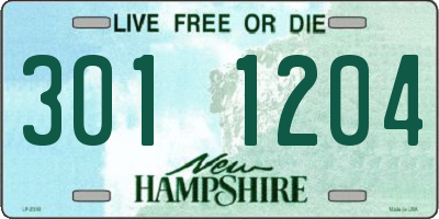 NH license plate 3011204
