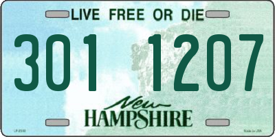 NH license plate 3011207