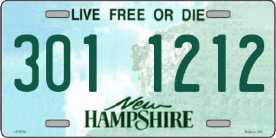 NH license plate 3011212