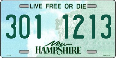 NH license plate 3011213