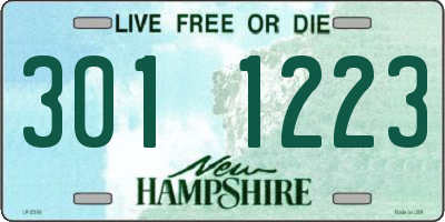 NH license plate 3011223