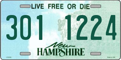 NH license plate 3011224