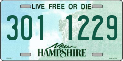 NH license plate 3011229