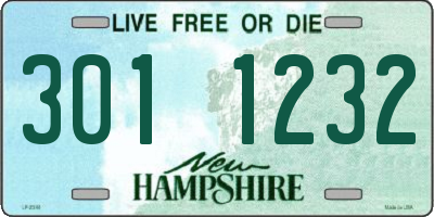 NH license plate 3011232