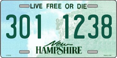 NH license plate 3011238
