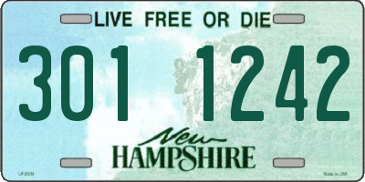 NH license plate 3011242