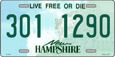 NH license plate 3011290