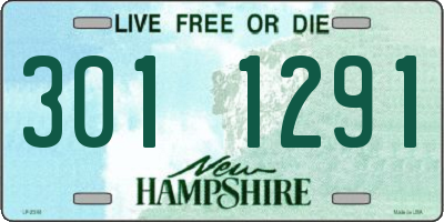 NH license plate 3011291