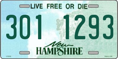 NH license plate 3011293