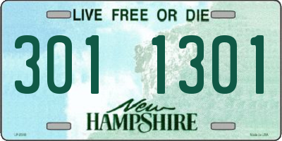 NH license plate 3011301