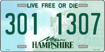 NH license plate 3011307