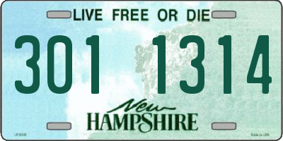 NH license plate 3011314