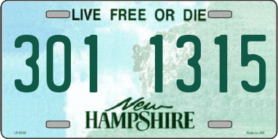 NH license plate 3011315