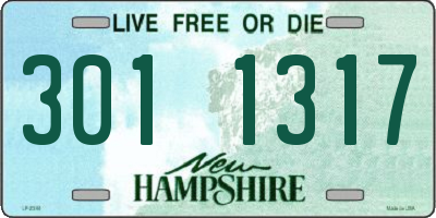 NH license plate 3011317