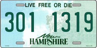 NH license plate 3011319