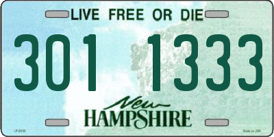 NH license plate 3011333
