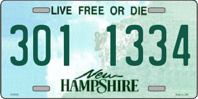 NH license plate 3011334