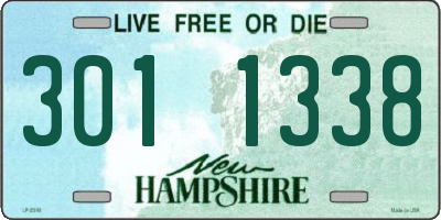 NH license plate 3011338