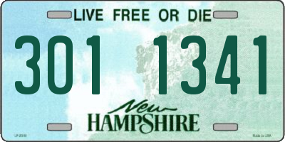 NH license plate 3011341