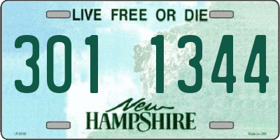 NH license plate 3011344