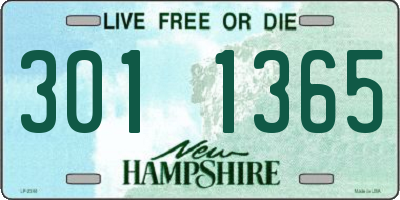 NH license plate 3011365