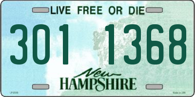 NH license plate 3011368