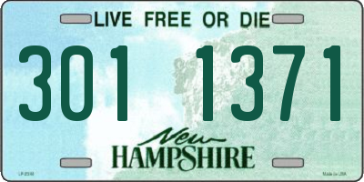 NH license plate 3011371