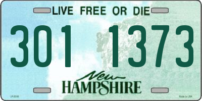 NH license plate 3011373