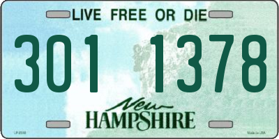 NH license plate 3011378