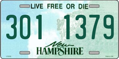 NH license plate 3011379