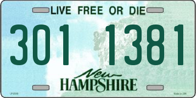 NH license plate 3011381
