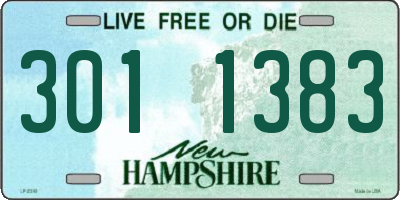 NH license plate 3011383