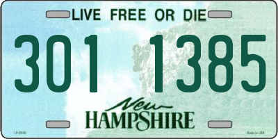 NH license plate 3011385