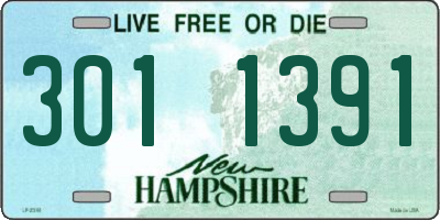 NH license plate 3011391