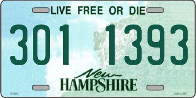 NH license plate 3011393