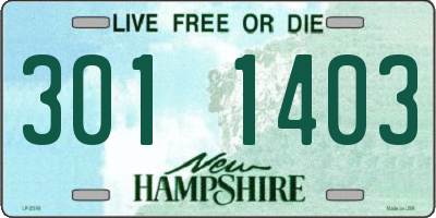NH license plate 3011403