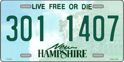 NH license plate 3011407