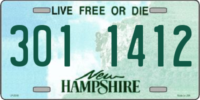 NH license plate 3011412