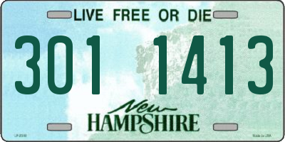 NH license plate 3011413