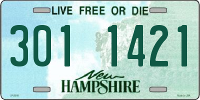 NH license plate 3011421