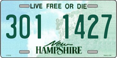 NH license plate 3011427