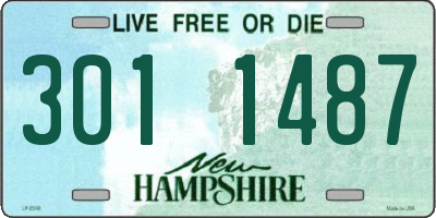 NH license plate 3011487