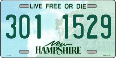 NH license plate 3011529