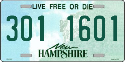 NH license plate 3011601