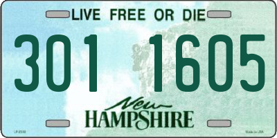 NH license plate 3011605