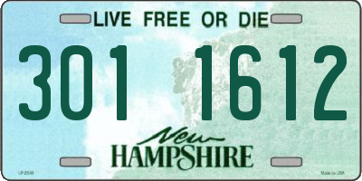 NH license plate 3011612