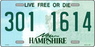 NH license plate 3011614