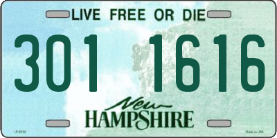 NH license plate 3011616