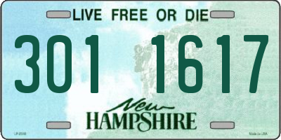 NH license plate 3011617