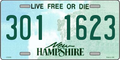 NH license plate 3011623